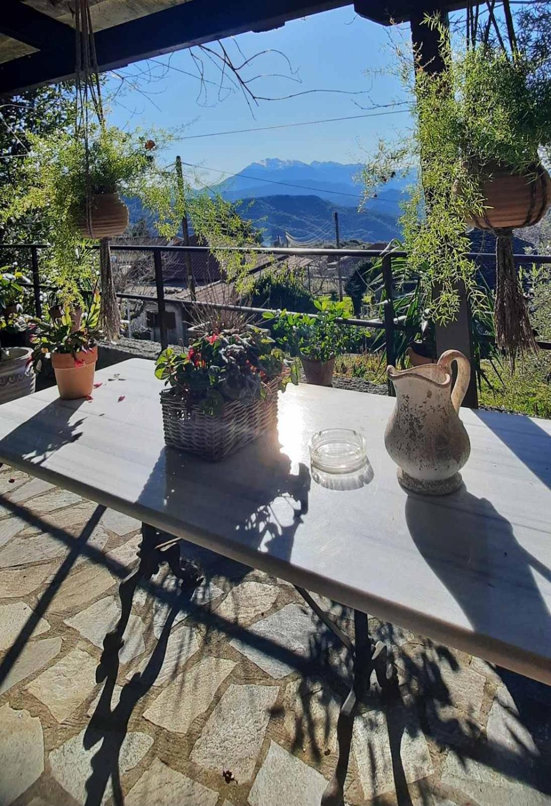 Hotel Αρχοντικό Άννα Μαρία - Βουργαρέλι Τζουμέρκα Exterior foto